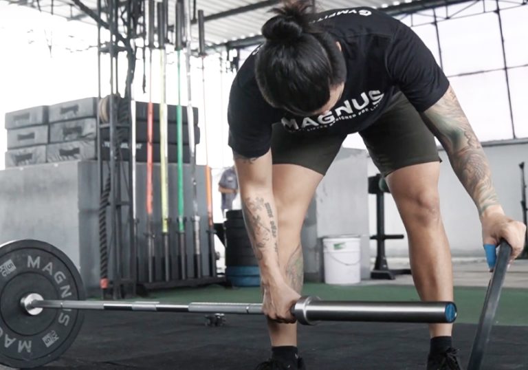 alat gym powerlifting